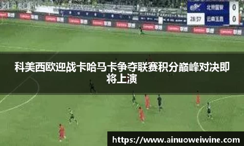 伟德bv国际体育